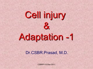 Cell injuryCell injury
&&
Adaptation -1Adaptation -1
Dr.CSBR.Prasad, M.D.
CSBRP-V3-Dec-2011
 