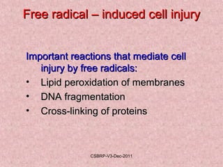 Cell injuryadaptation 1 | PPT