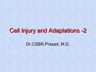 Cell Injury and Adaptations -2Cell Injury and Adaptations -2
Dr.CSBR.Prasad, M.D.
 