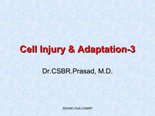 SDUMC-Path-CSBRP
Cell Injury & Adaptation-3Cell Injury & Adaptation-3
Dr.CSBR.Prasad, M.D.Dr.CSBR.Prasad, M.D.
 