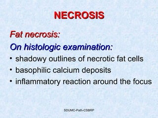 SDUMC-Path-CSBRP
NECROSISNECROSIS
Fat necrosis:Fat necrosis:
On histologic examination:On histologic examination:
• shadowy outlines of necrotic fat cells
• basophilic calcium deposits
• inflammatory reaction around the focus
 