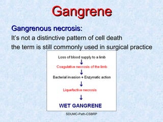 SDUMC-Path-CSBRP
GangreneGangrene
Gangrenous necrosis:Gangrenous necrosis:
It’s not a distinctive pattern of cell death
the term is still commonly used in surgical practice
 