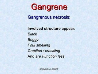 SDUMC-Path-CSBRP
GangreneGangrene
Gangrenous necrosis:Gangrenous necrosis:
Involved structure appear:
Black
Boggy
Foul smelling
Crepitus / crackling
And are Function less
 