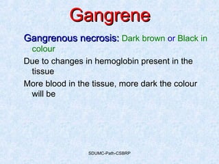 SDUMC-Path-CSBRP
GangreneGangrene
Gangrenous necrosis:Gangrenous necrosis: Dark brown or Black in
colour
Due to changes in hemoglobin present in the
tissue
More blood in the tissue, more dark the colour
will be
 