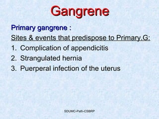 SDUMC-Path-CSBRP
GangreneGangrene
Primary gangrene :Primary gangrene :
Sites & events that predispose to Primary.G:
1. Complication of appendicitis
2. Strangulated hernia
3. Puerperal infection of the uterus
 