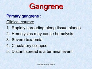 SDUMC-Path-CSBRP
GangreneGangrene
Primary gangrene :Primary gangrene :
Clinical course:
1. Rapidly spreading along tissue planes
2. Hemolysins may cause hemolysis
3. Severe toxaemia
4. Circulatory collapse
5. Distant spread is a terminal event
 