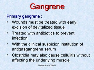 SDUMC-Path-CSBRP
GangreneGangrene
Primary gangrene :Primary gangrene :
• Wounds must be treated with early
excision of devitalized tissue
• Treated with antibiotics to prevent
infection
• With the clinical suspicion institution of
antigasgangrene serum
• Clostridia may also cause cellulitis without
affecting the underlying muscle
 