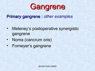 SDUMC-Path-CSBRP
GangreneGangrene
Primary gangrene :Primary gangrene : other examples
• Meleney’s postoperative synergistic
gangrene
• Noma (cancrum oris)
• Forneyer’s gangrene
 
