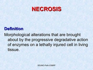 SDUMC-Path-CSBRP
DefinitionDefinition
Morphological alterations that are brought
about by the progressive degradative action
of enzymes on a lethally injured cell in living
tissue.
NECROSISNECROSIS
 