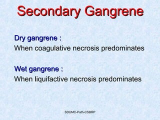 SDUMC-Path-CSBRP
Secondary GangreneSecondary Gangrene
Dry gangrene :Dry gangrene :
When coagulative necrosis predominates
Wet gangrene :Wet gangrene :
When liquifactive necrosis predominates
 
