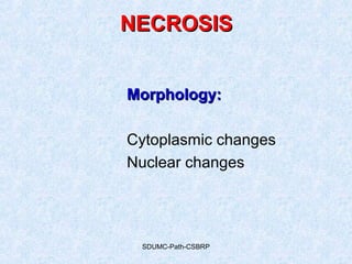 SDUMC-Path-CSBRP
Morphology:Morphology:
Cytoplasmic changes
Nuclear changes
NECROSISNECROSIS
 