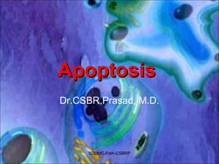 SDUMC-Path-CSBRP
ApoptosisApoptosis
Dr.CSBR.Prasad, M.D.
 