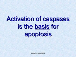 Activation of caspasesActivation of caspases
is theis the basisbasis forfor
apoptosisapoptosis
SDUMC-Path-CSBRP
 