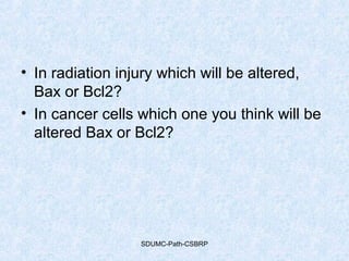 • In radiation injury which will be altered,
Bax or Bcl2?
• In cancer cells which one you think will be
altered Bax or Bcl2?
SDUMC-Path-CSBRP
 