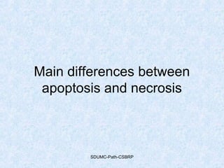 Main differences between
apoptosis and necrosis
SDUMC-Path-CSBRP
 