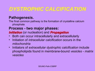 DYSTROPHIC CALCIFICATION
Pathogenesis.
The final common pathway is the formation of crystalline calcium
phosphate
Process - two major phases:
InitiationInitiation (or nucleation) and PropagationPropagation
• Both can occur intracellularly and extracellularly
• Initiation of intracellular calcification occurs in the
mitochondria
• Initiators of extracellular dystrophic calcification include
phospholipids found in membrane-bound vesicles - matrix
vesicles
SDUMC-Path-CSBRP
 