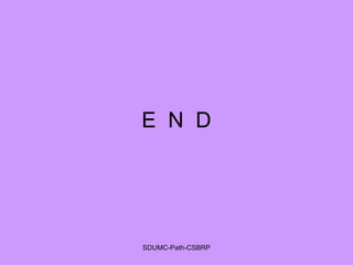 E N D
SDUMC-Path-CSBRP
 