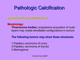 Pathologic CalcificationPathologic Calcification
DYSTROPHIC CALCIFICATIONDYSTROPHIC CALCIFICATION::
Morphology:Morphology:
•Psammoma bodies: progressive acquisition of outer
layers may create lamellated configurations in tumors
The following tumors may show these structuresThe following tumors may show these structures
1-Papillary carcinoma of ovary
2-Papillary carcinoma of thyroid
3-Meningioma
SDUMC-Path-CSBRP
 
