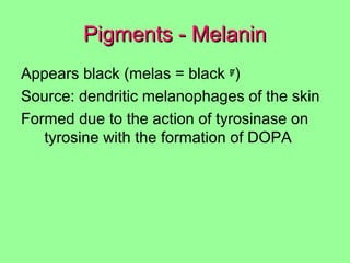 Pigments - MelaninPigments - Melanin
Appears black (melas = black gr
)
Source: dendritic melanophages of the skin
Formed due to the action of tyrosinase on
tyrosine with the formation of DOPA
 