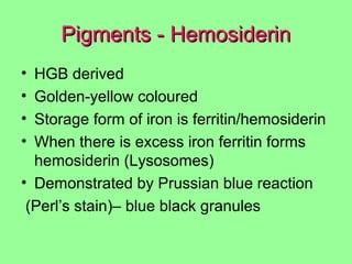 Pigments - HemosiderinPigments - Hemosiderin
• HGB derived
• Golden-yellow coloured
• Storage form of iron is ferritin/hemosiderin
• When there is excess iron ferritin forms
hemosiderin (Lysosomes)
• Demonstrated by Prussian blue reaction
(Perl’s stain)– blue black granules
 