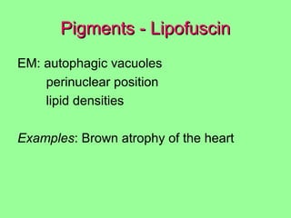 Pigments - LipofuscinPigments - Lipofuscin
EM: autophagic vacuoles
perinuclear position
lipid densities
Examples: Brown atrophy of the heart
 