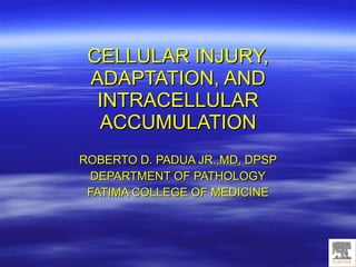 CELLULAR INJURY, ADAPTATION, AND INTRACELLULAR ACCUMULATION ROBERTO D. PADUA JR.,MD, DPSP DEPARTMENT OF PATHOLOGY FATIMA COLLEGE OF MEDICINE 