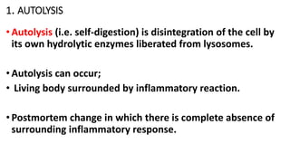 CELL INJURY,ADAPTATION AND DEATH-2.1.pptx