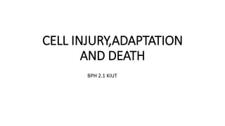 CELL INJURY,ADAPTATION
AND DEATH
BPH 2.1 KIUT
 