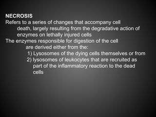 Cell injury, adaptation, and death fix | ODP