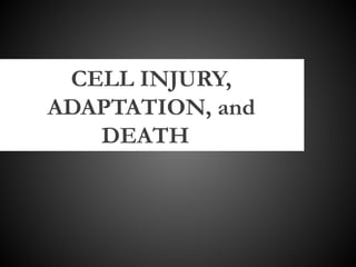 CELL INJURY,
ADAPTATION, and
   DEATH
 
