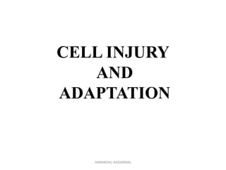 CELL INJURY
AND
ADAPTATION
HIMANSHU AGGARWAL
 