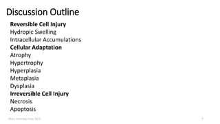 Marc Imhotep Cray, M.D.
Discussion Outline
Reversible Cell Injury
Hydropic Swelling
Intracellular Accumulations
Cellular Adaptation
Atrophy
Hypertrophy
Hyperplasia
Metaplasia
Dysplasia
Irreversible Cell Injury
Necrosis
Apoptosis
2
 