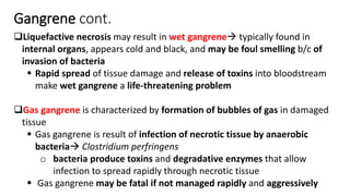 Marc Imhotep Cray, M.D.
Gangrene cont.
Liquefactive necrosis may result in wet gangrene typically found in
internal organs, appears cold and black, and may be foul smelling b/c of
invasion of bacteria
 Rapid spread of tissue damage and release of toxins into bloodstream
make wet gangrene a life-threatening problem
Gas gangrene is characterized by formation of bubbles of gas in damaged
tissue
 Gas gangrene is result of infection of necrotic tissue by anaerobic
bacteria Clostridium perfringens
o bacteria produce toxins and degradative enzymes that allow
infection to spread rapidly through necrotic tissue
 Gas gangrene may be fatal if not managed rapidly and aggressively
 