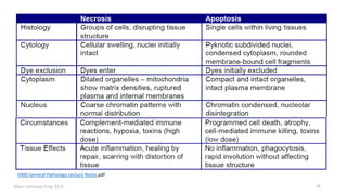 Marc Imhotep Cray, M.D. 32
IVMS General Pathology Lecture Notes.pdf
 