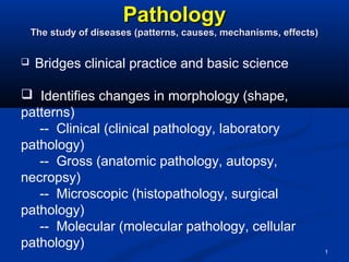 1
PathologyPathology
The study of diseases (patterns, causes, mechanisms, effects)The study of diseases (patterns, causes, mechanisms, effects)
 Bridges clinical practice and basic science
 Identifies changes in morphology (shape,
patterns)
-- Clinical (clinical pathology, laboratory
pathology)
-- Gross (anatomic pathology, autopsy,
necropsy)
-- Microscopic (histopathology, surgical
pathology)
-- Molecular (molecular pathology, cellular
pathology)
 