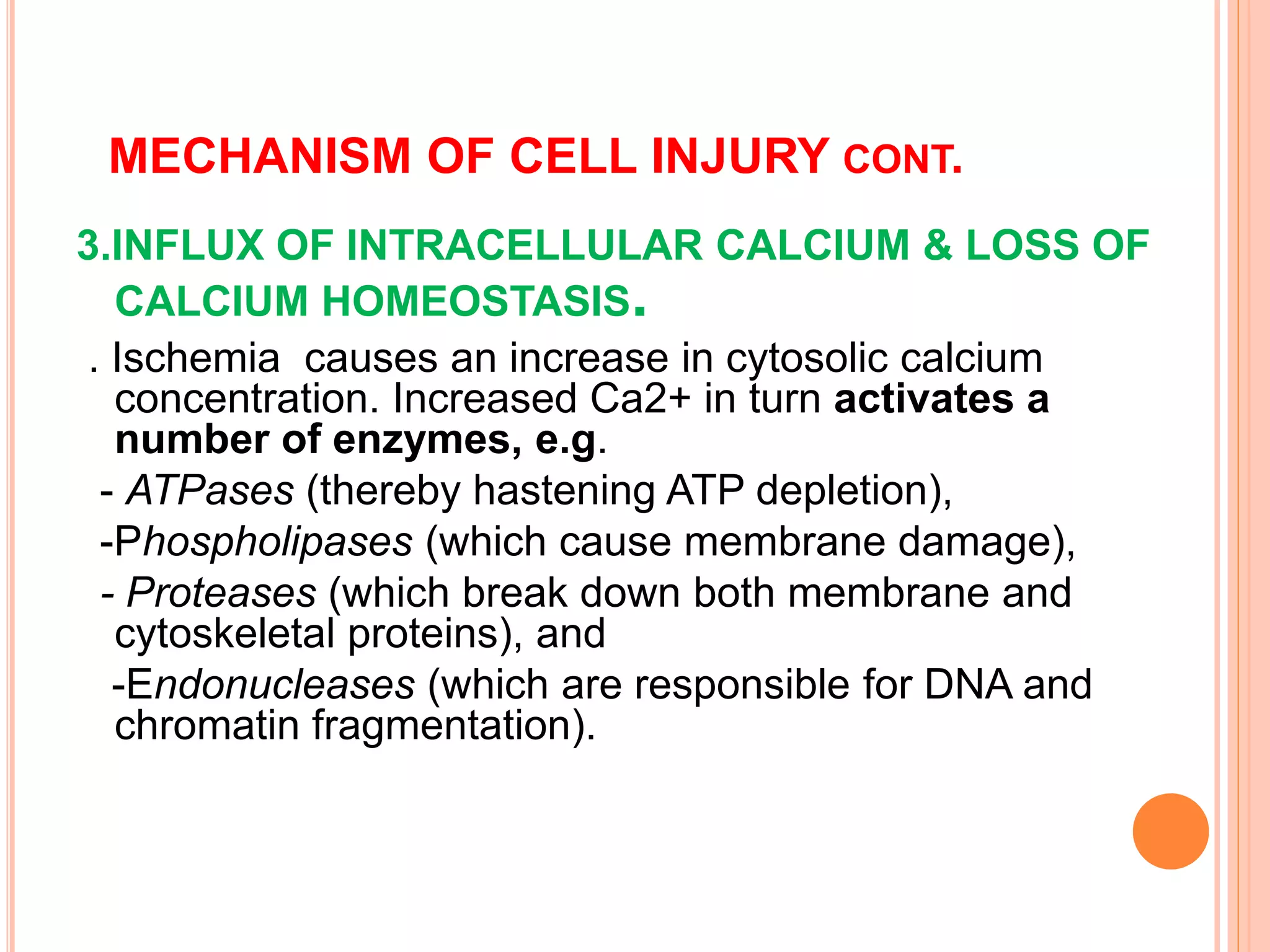 Cell injury and degenerations | PPTX