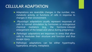 cellinjuryandhypertrophy pathology .pptx
