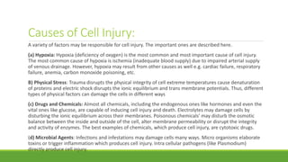 Causes of Cell Injury:
A variety of factors may be responsible for cell injury. The important ones are described here.
(a) Hypoxia: Hypoxia (deficiency of oxygen) is the most common and most important cause of cell injury.
The most common cause of hypoxia is ischemia (inadequate blood supply) due to impaired arterial supply
of venous drainage. However, hypoxia may result from other causes as well e.g. cardiac failure, respiratory
failure, anemia, carbon monoxide poisoning, etc.
B) Physical Stress: Trauma disrupts the physical integrity of cell extreme temperatures cause denaturation
of proteins and electric shock disrupts the ionic equilibrium and trans membrane potentials. Thus, different
types of physical factors can damage the cells in different ways
(c) Drugs and Chemicals: Almost all chemicals, including the endogenous ones like hormones and even the
vital ones like glucose, are capable of inducing cell injury and death. Electrolytes may damage cells by
disturbing the ionic equilibrium across their membranes. Poisonous chemicals' may disturb the osmotic
balance between the inside and outside of the cell, alter membrane permeability or disrupt the integrity
and activity of enzymes. The best examples of chemicals, which produce cell injury, are cytotoxic drugs.
(d) Microbial Agents: Infections and infestations may damage cells many ways. Micro organisms elaborate
toxins or trigger inflammation which produces cell injury. Intra cellular pathogens (like Plasmodium)
directly produce cell injury.
 