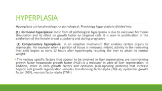 HYPERPLASIA
Hyperplasia can be physiologic or pathological: Physiology hyperplasia is divided into
(1) Hormonal hyperplasia: most from of pathological hyperplasia is due to excessive hormonal
stimulation and its effect on growth factor on targeted cells. It is seen in proliferation of the
epithelium of the female breast at puberty and during pregnancy
(2) Compensatory hyperplasia: is an adaptive mechanism that enables certain organs to
regenerate. For example when a portion of tissue is removed, mitotic activity in the remaining
liver cells begins as early 12 hours after hypertrophy resulting the liver to attain its normal
weight.
 The various specific factors that appear to be involved in liver regenerating are transforming
growth factor hepatocyte growth factor (HGE».is a mediator in vitro of liver regeneration. In
addition, other in vitro growth factors and cytokines (cell-signaling proteins) that increase
hepatic cell growth regeneration includes transforming factor-alpha (TGF-a), epidermal growth
factor (EGF), necrosis factor-alpha (TNF-).
 