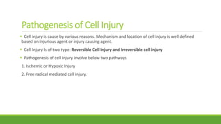 Pathogenesis of Cell Injury
 Cell injury is cause by various reasons. Mechanism and location of cell injury is well defined
based on injurious agent or injury causing agent.
 Cell Injury Is of two type: Reversible Cell Injury and Irreversible cell injury
 Pathogenesis of cell injury involve below two pathways
1. Ischemic or Hypoxic Injury
2. Free radical mediated cell injury.
 
