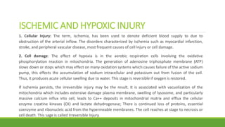 ISCHEMIC AND HYPOXIC INJURY
1. Cellular Injury: The term, ischemia, has been used to denote deficient blood supply to due to
obstruction of the arterial inflow. The disorders characterized by ischemia such as myocardial infarction,
stroke, and peripheral vascular disease, most frequent causes of cell Injury or cell damage.
2. Cell damage: The effect of hypoxia is in the aerobic respiration cells involving the oxidative
phosphorylation reaction in mitochondria. The generation of adenosine triphosphate membrane (ATP)
slows down or stops which may effect on many oxidation systems which causes failure of the active sodium
pump, this effects the accumulation of sodium intracellular and potassium out from fusion of the cell.
Thus, it produces acute cellular swelling due to water. This stage is reversible if oxygen is restored.
If ischemia persists, the irreversible injury may be the result. It is associated with vacuolization of the
mitochondria which includes extensive damage plasma membrane, swelling of lysosome, and particularly
massive calcium influx into cell, leads to Ca++ deposits in mitochondrial matrix and efflux the cellular
enzyme creatine kinases (CK) and lactate dehydrogenase; There is continued loss of proteins, essential
coenzyme and ribonucleic acid from the hypermeable membranes. The cell reaches at stage to necrosis or
cell death. This sage is called Irreversible Injury.
 