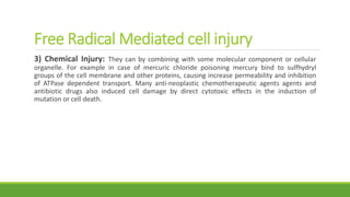 Free Radical Mediated cell injury
3) Chemical Injury: They can by combining with some molecular component or cellular
organelle. For example in case of mercuric chloride poisoning mercury bind to sulfhydryl
groups of the cell membrane and other proteins, causing increase permeability and inhibition
of ATPase dependent transport. Many anti-neoplastic chemotherapeutic agents agents and
antibiotic drugs also induced cell damage by direct cytotoxic effects in the induction of
mutation or cell death.
 
