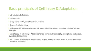 Basic principals of Cell Injury & Adaptation
Introduction, Definitions,
Homeostasis,
Components and Types of Feedback systems,
Causes of cellular injury,
Pathogenesis (Cell membrane damage, Mitochondrial damage, Ribosome damage, Nuclear
damage)
Morphology of cell injury – Adaptive changes (Atrophy, Hypertrophy, hyperplasia, Metaplasia,
Dysplasia),Cell swelling,
Intra cellular accumulation, Calcification, Enzyme leakage and Cell Death Acidosis & Alkalosis,
Electrolyte imbalance.
 
