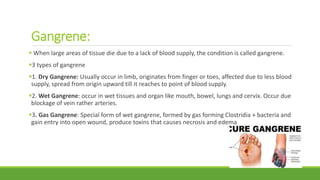 Gangrene:
 When large areas of tissue die due to a lack of blood supply, the condition is called gangrene.
3 types of gangrene
1. Dry Gangrene: Usually occur in limb, originates from finger or toes, affected due to less blood
supply, spread from origin upward till it reaches to point of blood supply.
2. Wet Gangrene: occur in wet tissues and organ like mouth, bowel, lungs and cervix. Occur due
blockage of vein rather arteries.
3. Gas Gangrene: Special form of wet gangrene, formed by gas forming Clostridia + bacteria and
gain entry into open wound, produce toxins that causes necrosis and edema
 