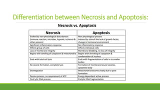 Differentiation between Necrosis and Apoptosis:
 