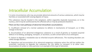 Intracellular Accumulation
 In some circumstances cells may accumulate abnormal amounts of various substances, which may be
harmless or associated with varying degrees of injury.
The substance may be located in the cytoplasm, within organelles (typically lysosomes), or in the
nucleus, and it may be synthesized by the affected cells or may be produced elsewhere.
There are four main pathways of abnormal intracellular accumulations:
1. Insufficient removal of a normal substance to defects in mechanisms of transport, as in fatty
change in the liver.
2. Accumulation of an abnormal endogenous substance as a result of genetic or mutated acquired
defects in its folding, packaging, transport, or secretion, as with certain forms of a1-antitrypsin.
3. Failure to degrade a metabolite due to inherited enzyme deficiencies. The resulting disorders are
called storage diseases.
4. Deposition and accumulation of an abnormal exogenous substance when the cell has neither the
enzymatic machinery to degrade the substance nor the ability to transport it to other sites.
Accumulation of carbon or silica particles is an example of this type of alteration.
 