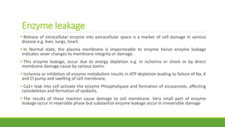 Enzyme leakage
 Release of intracellular enzyme into extracellular space is a marker of cell damage in various
disease e.g. liver, lungs, heart.
 In Normal state, the plasma membrane is impermeable to enzyme hence enzyme leakage
indicates sever changes to membrane integrity or damage.
 This enzyme leakage, occur due to energy depletion e.g. in ischemia or shock or by direct
membrane damage cause by various toxins.
 Ischemia or inhibition of enzyme metabolism results in ATP depletion leading to failure of Na, K
and Cl pump and swelling of cell membrane.
 Ca2+ leak into cell activate the enzyme Phospholipase and formation of eicosanoids, affecting
cytoskeleton and formation of oxidants.
 The results of these reaction cause damage to cell membrane. Very small part of enzyme
leakage occur in reversible phase but substantial enzyme leakage occur in irreversible damage
 