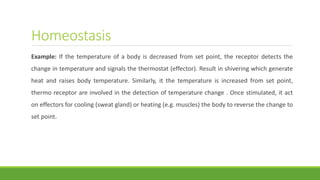 Homeostasis
Example: If the temperature of a body is decreased from set point, the receptor detects the
change in temperature and signals the thermostat (effector). Result in shivering which generate
heat and raises body temperature. Similarly, it the temperature is increased from set point,
thermo receptor are involved in the detection of temperature change . Once stimulated, it act
on effectors for cooling (sweat gland) or heating (e.g. muscles) the body to reverse the change to
set point.
 