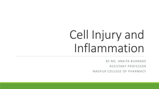 Cell Injury and
Inflammation
BY MS. ANKITA BURANDE
ASSISTANT PROFESSOR
NAGPUR COLLEGE OF PHARMACY
 