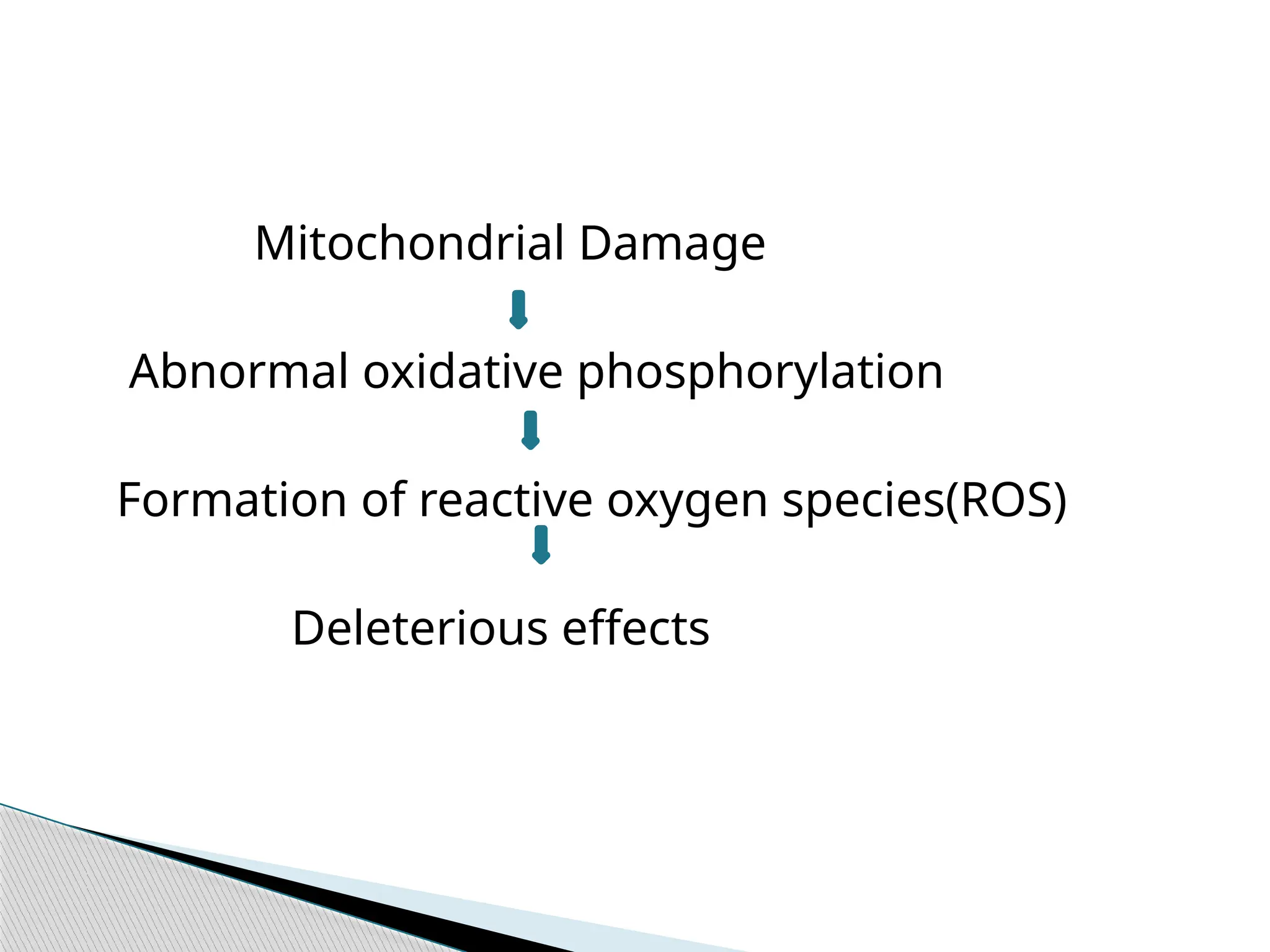 Mitochondrial Damage
Abnormal oxidative phosphorylation
Formation of reactive oxygen species(ROS)
Deleterious effects
 